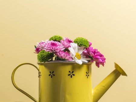 Yellow watering can For Discount