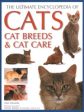 The Ultimate Encyclopedia of Cats, Cat Breeds & Cat Care Online Hot Sale