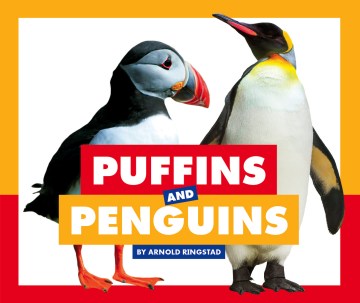 Puffins and Penguins Hot on Sale